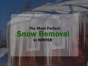 Best Steps for the Most Perfect Snow Removal in Winter