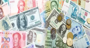 Exploring the Various Types of Money Used in Economic Theory